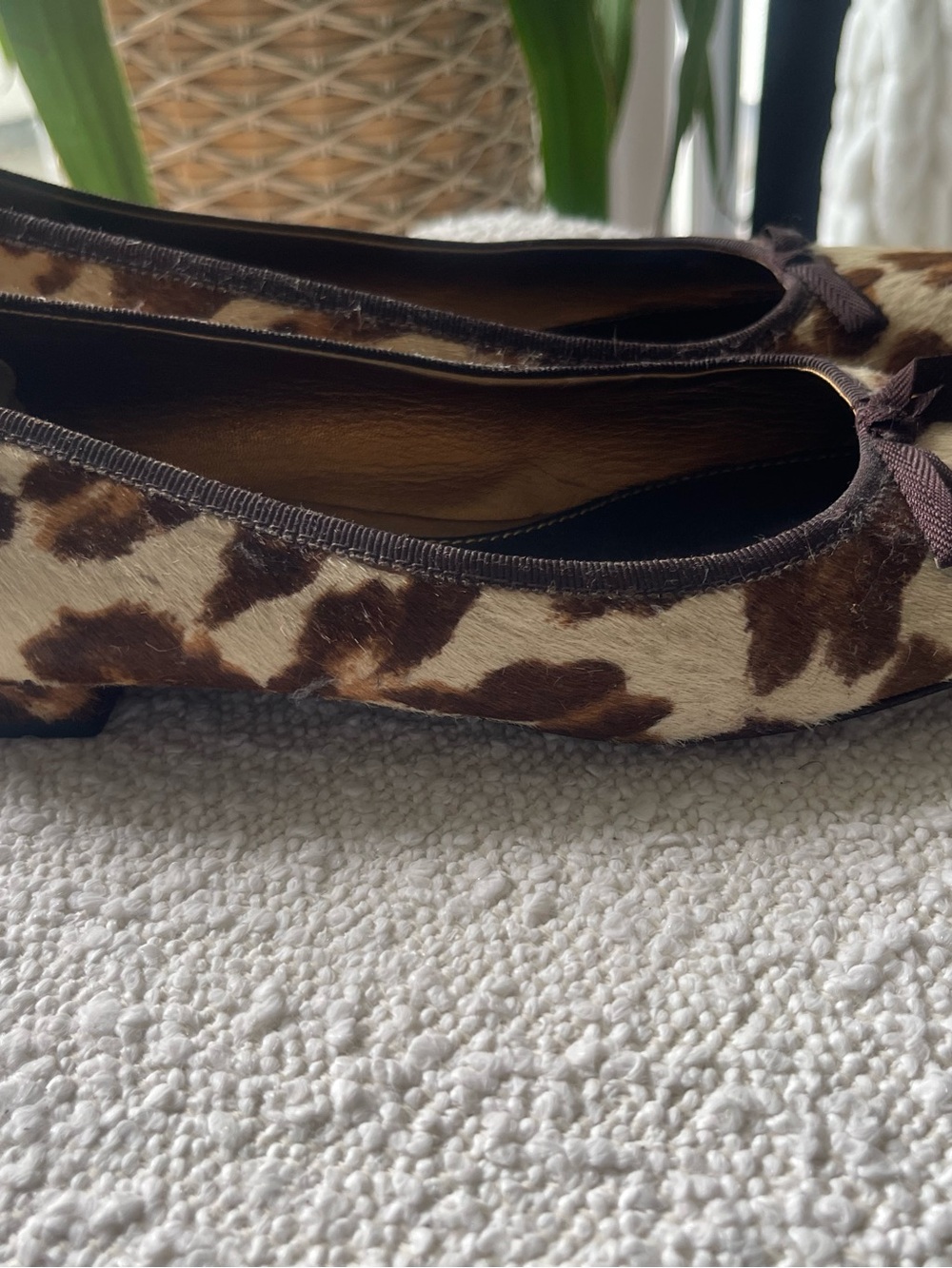Prada Leopard-Print Ballet Flats in Brown and Beige - Picture 5 of 8